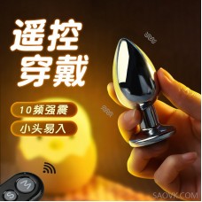 Ji Yu Wireless Remote Control Men's and Women's Universal Metal Vestibular Vibration Anal Prostate Massager Adult Sexual Products